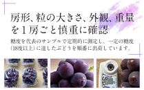 ぶどう 2025年 先行予約 岡山県産 大粒 ニューピオーネ 1房（600g以上）農園直送 朝採れ