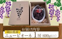 ぶどう 2025年 先行予約 岡山県産 大粒 ニューピオーネ 1房（600g以上）農園直送 朝採れ