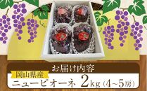 ぶどう 2025年 先行予約 岡山県産  大粒 ニューピオーネ 2kg（4房～5房）農園直送 朝採れ