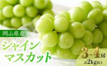 ぶどう 2025年 先行予約 岡山県産 シャインマスカット 3～4房 計2kg以上＜ジューシーで上品な甘みと高貴な香り＞