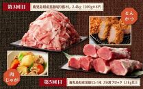 九州産・豚バラエティ定期便（計５回）