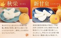 【先行予約】数量限定【定期便】鳥取県産 梨の食べ比べ 4種類コース