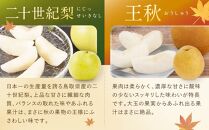 【先行予約】数量限定【定期便】鳥取県産 梨の食べ比べ 4種類コース
