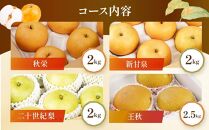 【先行予約】数量限定【定期便】鳥取県産 梨の食べ比べ 4種類コース