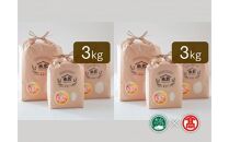 CN7＜米蔵―KOMEGURAー＞【定期便】&nbsp;五ツ星お米マイスター監修　&nbsp;鳥取県産米4種食べくらべセット&nbsp;&nbsp;&nbsp;6kg×4ヶ月&nbsp;（大山ブランド会）　