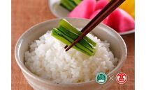 CN7＜米蔵―KOMEGURAー＞【定期便】&nbsp;五ツ星お米マイスター監修　&nbsp;鳥取県産米4種食べくらべセット&nbsp;&nbsp;&nbsp;6kg×4ヶ月&nbsp;（大山ブランド会）　