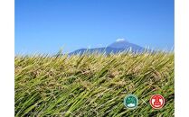 CN7＜米蔵―KOMEGURAー＞【定期便】&nbsp;五ツ星お米マイスター監修　&nbsp;鳥取県産米4種食べくらべセット&nbsp;&nbsp;&nbsp;6kg×4ヶ月&nbsp;（大山ブランド会）　