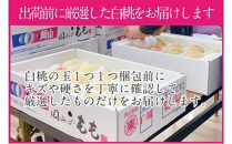 桃 2025年 先行予約 岡山の白桃 200g以上×8玉 | 白桃 旬 みずみずしい 晴れの国 おかやま 岡山県産 フルーツ王国 果物王国