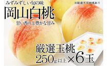 桃 2025年 先行予約 岡山の白桃 250g以上×6玉 | 白桃 旬 みずみずしい 晴れの国 おかやま 岡山県産 フルーツ王国 果物王国