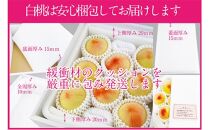 桃 2025年 先行予約 岡山の白桃 250g以上×6玉 | 白桃 旬 みずみずしい 晴れの国 おかやま 岡山県産 フルーツ王国 果物王国
