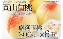 桃 2025年 先行予約 岡山の白桃 300g以上×6玉 | 白桃 旬 みずみずしい 晴れの国 おかやま 岡山県産 フルーツ王国 果物王国