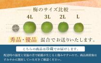 【2024年5月下旬以降発送】紀州南高梅(青梅) 10kg〈大粒/3Lサイズ〉