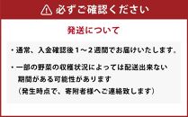 【母の日ギフト】北海道産食材のみ使用 無添加ペットフード（レトルトタイプ） 合計500g_01695