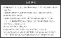 【8月12日（月）第1部】徳島市 2024 阿波おどり 南内町演舞場　特別観覧席