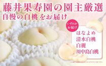 桃 2025年 先行予約 岡山県産 ご家庭用 白桃 1kg以上（4～6玉） 品種おまかせ＜6月下旬以降発送＞