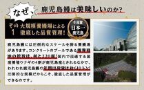 【3回定期】うなぎ 蒲焼 160g×2尾【鹿児島産】地下水で育てた絶品鰻