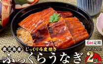 【6回定期】うなぎ&nbsp;蒲焼&nbsp;160g×2尾【鹿児島産】地下水で育てた絶品鰻