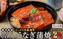 【6回定期】うなぎ&nbsp;蒲焼&nbsp;160g×2尾【鹿児島産】地下水で育てた絶品鰻