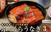 【3回定期】うなぎ&nbsp;蒲焼&nbsp;160g×3尾【鹿児島産】地下水で育てた絶品鰻