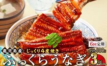 【6回定期】うなぎ 蒲焼 160g×3尾【鹿児島産】地下水で育てた絶品鰻