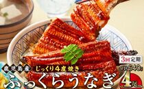 【3回定期】うなぎ 蒲焼 160g×4尾【鹿児島産】地下水で育てた絶品鰻