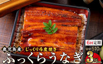 【6回定期】うなぎ&nbsp;蒲焼&nbsp;170g×3尾【鹿児島産】地下水で育てた絶品鰻