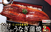 【6回定期】うなぎ&nbsp;蒲焼&nbsp;200g×2尾【鹿児島産】地下水で育てた絶品鰻
