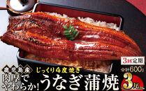 【3回定期】うなぎ&nbsp;蒲焼&nbsp;200g×3尾【鹿児島産】地下水で育てた絶品鰻