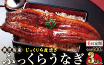 【6回定期】うなぎ&nbsp;蒲焼&nbsp;200g×3尾【鹿児島産】地下水で育てた絶品鰻