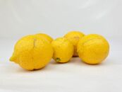 【有機JAS認証】レモン島からお贈りするオーガニックレモン 9kg 有機レモン 産直 国産 有機栽培