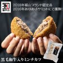 ＼寄附額改定／　池口精肉店のミンチカツと塩で食べるハンバーグステーキ (ミンチカツ×5個、ハンバーグ×2個)【選べる発送月 詰合せ セット おかず お弁当 肉 広島県 福山市】