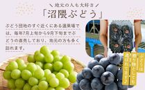 《期間限定》3種類の沼隈ぶどう贅沢詰合せ3種各2kg(ピオーネ・シャインマスカット・ニューベリーA) 合計3箱（種なし）【食べ比べ ブドウ 詰合せ セット 果物 フルーツ デザート 広島県 福山市】【食べ比べ ブドウ 詰合せ セット 果物 フルーツ デザート 大粒　種なし 選果場直送 ギフト 贈答 ぬまくま 広島県 福山市】