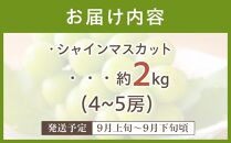 《数量限定》沼隈ぶどう シャインマスカット 約2kg(4～5房) 種なし 《9月上旬～9月下旬頃発送》【フルーツ 果物 ぶどう 葡萄 ブドウ 甘い 大粒 皮ごと 大粒 大きい 種なし 選果場直送 先行予約 期間限定 ギフト 贈答 ぬまくま 広島県 福山市】