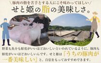 ＼寄附額改定／　瀬戸内育ち “極上”の豚肉「瀬戸のもち豚」ポークジャーキー 【ジャーキー おつまみ 肴 豚肉 肉 広島県 福山市】【ジャーキー おつまみ 肴 豚肉 肉 広島県 福山市】