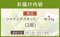 《数量限定》沼隈ぶどう シャインマスカット 約1kg(2房) 種なし《9月上旬～9月下旬頃発送》【フルーツ 果物 ぶどう 葡萄 ブドウ 甘い 大粒 皮ごと 大粒 大きい 種なし 選果場直送 先行予約 期間限定 ギフト 贈答 ぬまくま 広島県 福山市】