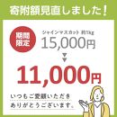 《数量限定》沼隈ぶどう シャインマスカット 約1kg(2房) 種なし《9月上旬～9月下旬頃発送》【フルーツ 果物 ぶどう 葡萄 ブドウ 甘い 大粒 皮ごと 大粒 大きい 種なし 選果場直送 先行予約 期間限定 ギフト 贈答 ぬまくま 広島県 福山市】