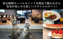 お食事券 3,000円分 cafe Surin ( カフェ スリン ) 南城市