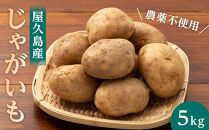 【2025年3月上旬頃から発送】屋久島産 じゃがいも 5kg＜農薬不使用＞