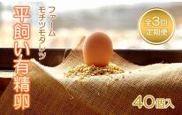 【3回定期便】ファームモチツモタレツの平飼い有精卵（40個入）