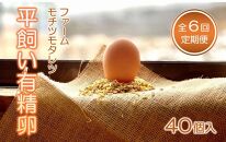 【6回定期便】ファームモチツモタレツの平飼い有精卵（40個入）