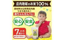 ライスクリスピー(赤ちゃんせんべい)　10袋＜ 酒田米菓＞