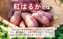 【定期便全12回】紅蜜芋　紅はるかの焼き芋定期便2kg
