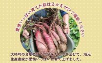 【定期便全12回】紅蜜芋　紅はるかの焼き芋定期便2kg