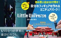 Little Universe 入場パスポート (ペア)