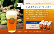 TDM 1874 Brewery クラフトビール　BBB（British Best Bitter）（350ml×6本）【お酒・地ビール・酒】