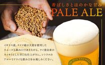 TDM 1874 Brewery クラフトビール Pale Ale ペールエール (350ml×6本)【お酒・地ビール・酒】