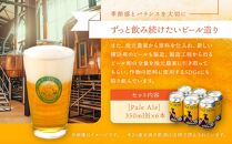 TDM 1874 Brewery クラフトビール Pale Ale ペールエール (350ml×6本)【お酒・地ビール・酒】