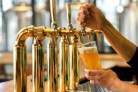 TDM 1874 Brewery クラフトビール　IPA（350ml×3本）【お酒・地ビール・酒】  数々の審査会で金賞受賞！
