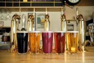 TDM 1874 Brewery クラフトビール　IPA（350ml×6本）【お酒・地ビール・酒】  数々の審査会で金賞受賞！