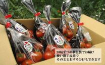国東産ミニトマト「濃いとまと」1.2kg 小分け 200g×6袋_2363R